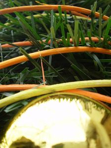 v�no�n� strome�ek na v�noce